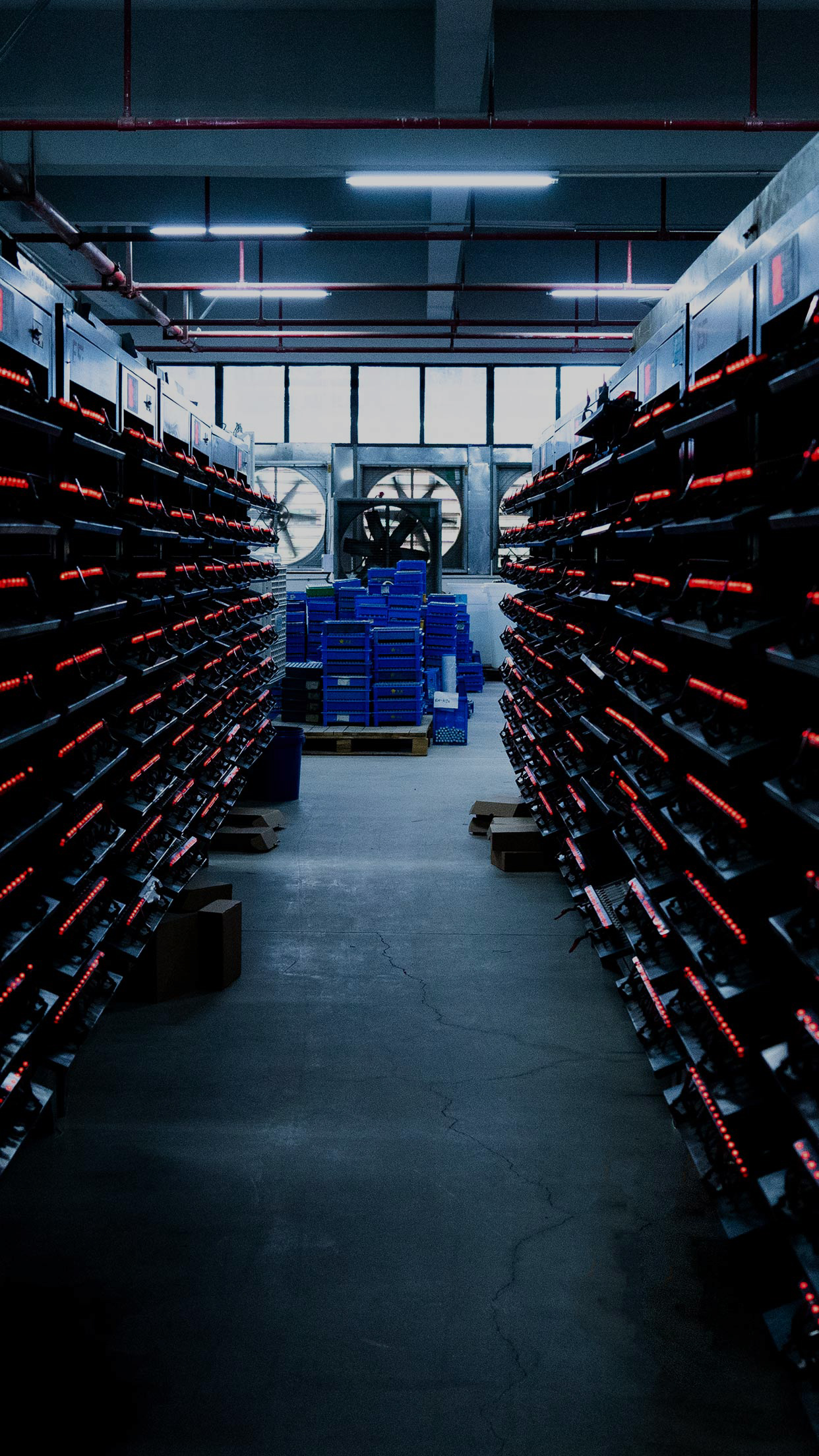 南宫NG28官网-不凡成绩非凡,相信品牌的实力